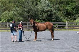 LR-WRF 08022025-Retreat-3046